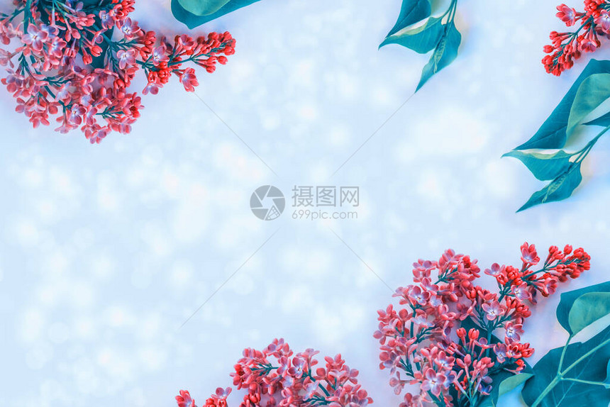 春天丁香花的卉自然背景图片
