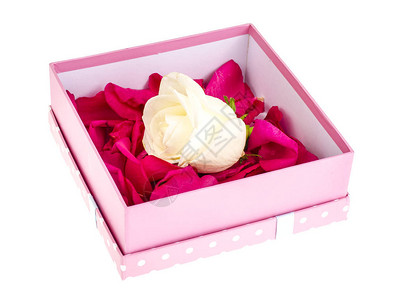 方形礼盒中的玫瑰花瓣和头饰工作室照片图片