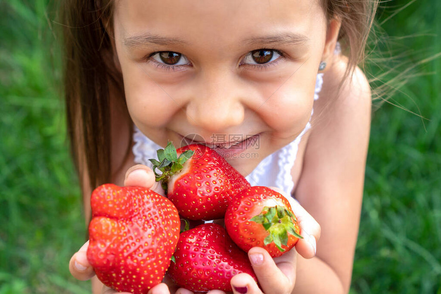 漂亮的小孩子在她的手中伸展草莓图片