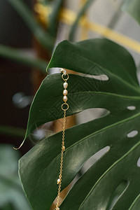 挂在棕榈叶上的珍珠眼镜的金链图片