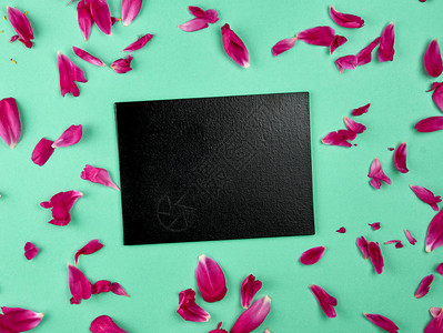 粉红小马花瓣间绿色背景的空黑粉笔图片