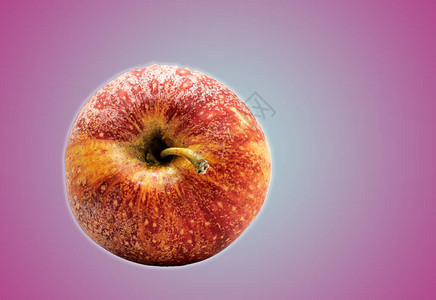 在紫色梯度背景上隔离的苹果食物概念图片