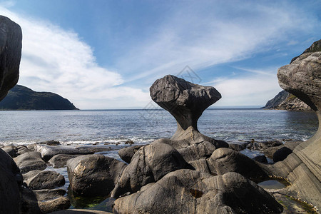 挪威石蘑菇的风景图片
