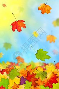落下五颜六色的秋叶映衬着蓝天图片