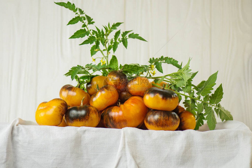 新鲜的成熟美味西红柿有机的新鲜多汁棕色图片