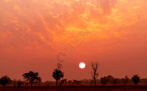 红色和橙色的日落天空与泰国东北部的落叶龙脑香林夏天美丽的夕阳天空晚上树的大红太阳宁静祥和的景观图片