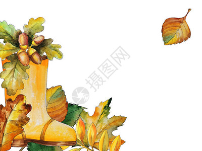 多色秋季叶边框的多色秋叶用水彩图片