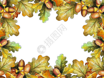多色秋季叶边框的多色秋叶用水彩背景图片