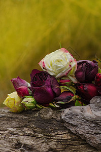 在婚礼装饰插花的混合玫瑰图片