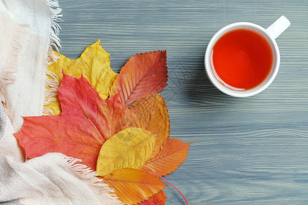 秋天概念带围巾和茶叶的木图片