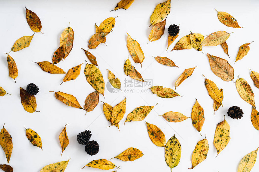 白色和秋天的黄叶和一杯咖啡图片