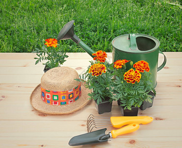 门外的鲜花草帽园艺工具和绿色金图片