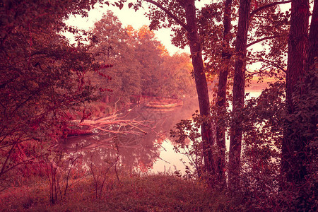 湖上神奇的日出清晨宁静的湖面自然景观图片