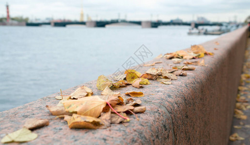 秋天的风景新河堤岸花岗岩上落下的叶图片