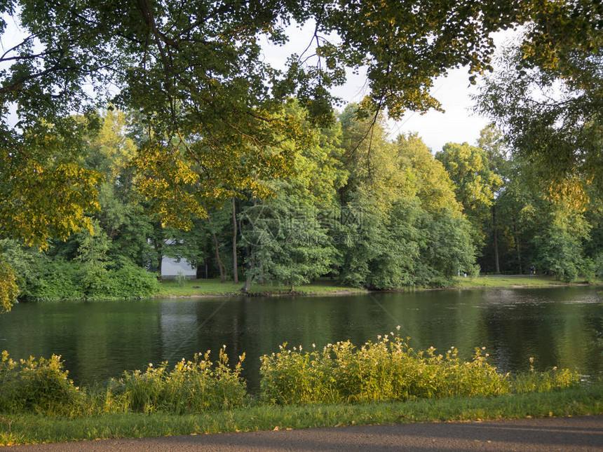 城市公园景观与黄绿树和河流图片