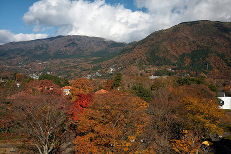 日本河川山坡的秋天风景花川日本角上图片