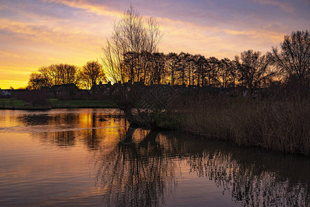 升起的太阳在荷兰佐特默尔德魏斯温德公园水面上图片