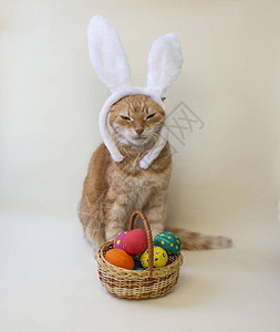 复活节彩蛋复活节快乐卡多彩姿的复活节彩蛋和兔子浅色背景上的复活节彩蛋复活节的问候复活节快乐背景图片