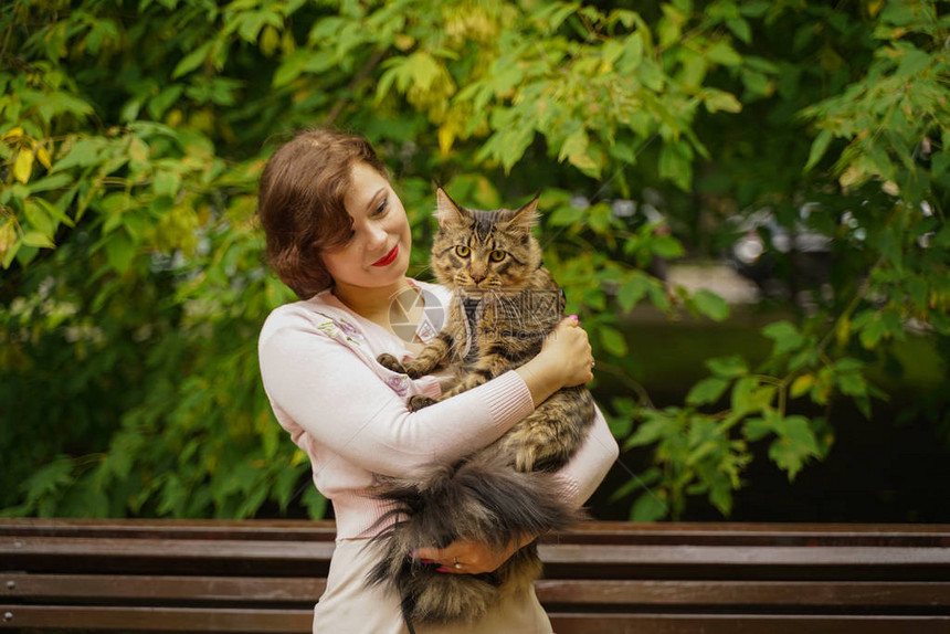 主人带着她的猫灰色缅因浣熊带着安全带散步图片