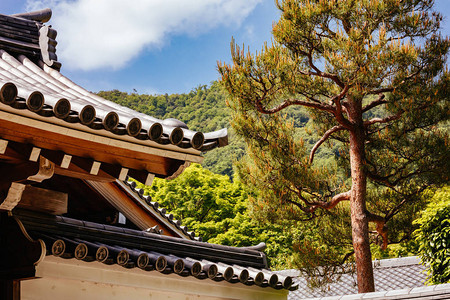 在日本京都林山Arashiyama的暖春日图片