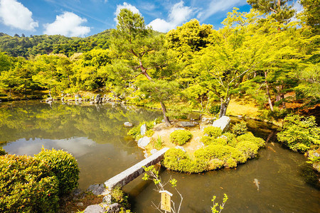 在日本京都林山的暖春图片