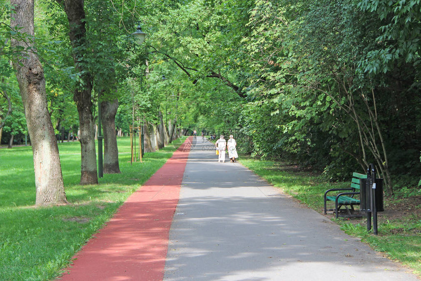 夏季公园与绿树之间的路径和跑步机夏季景观与城市公园城市公园绿叶中的树木绿树间有小图片