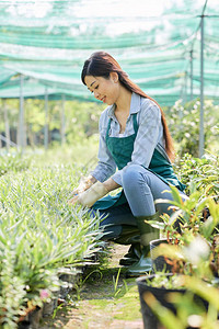 漂亮的越南女农工在花盆图片