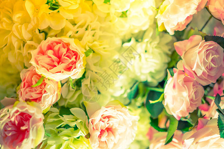 用于情人节和婚礼场景的美丽花朵经过滤图像处理图片