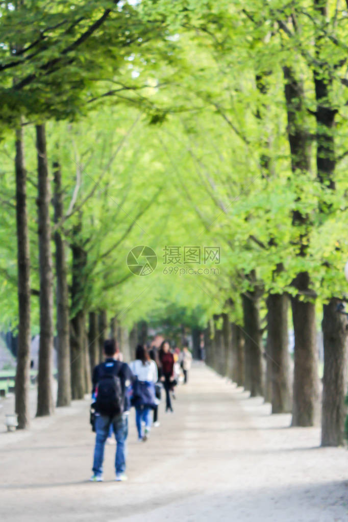 韩国南怡岛的游客图片