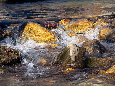 冰冷的山溪里的石头图片