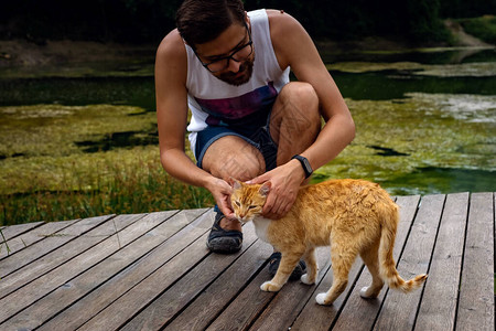 下雨后猫在男人的腿上擦伤了人腿图片