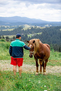 在田地山上骑马的男子背景图片