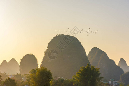 鸟群飞越桂林喀斯特山脉图片