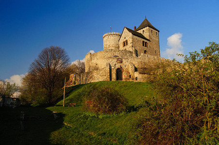 波兰贝津皇家城堡图片