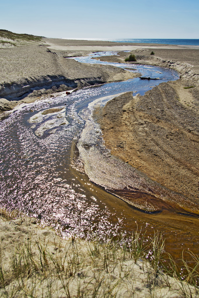 一条有淤泥和水生植物的小溪图片
