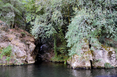 杜罗河的绿色和岩石河岸图片