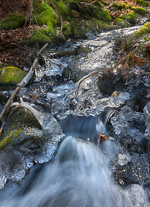 冬天溪流上的冰晶图片