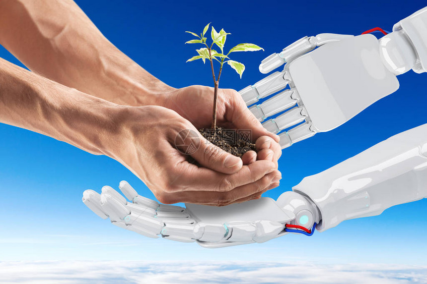 雄手伸出小植物的机器人手未来掌握在我们手中自动化概念图片