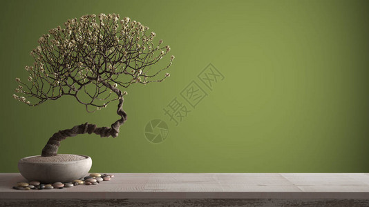 配有瓦子和陶瓷花盆白花带复制空间的绿色彩背景Zen概念内置设计等图片
