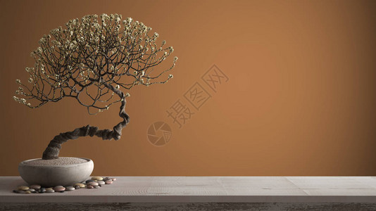 配有瓦子和陶瓷花盆白花含复制空间的橙色背景Zen概念内置设计等图片
