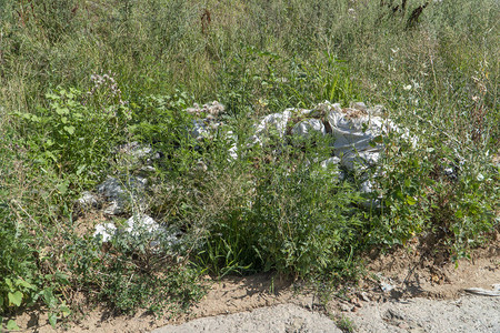 装满垃圾的白色大袋子躺在路边的绿草中人类活动污染环境的例子具有自然背图片