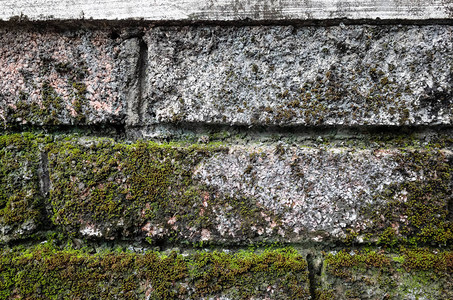粗糙的石砖墙背景与地衣和青苔的图片