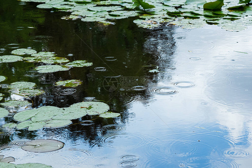 雨下背景有波纹天空在水中反射满是图片