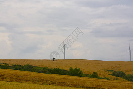西梅尔堤防Wildmill站在蓝天山的田野上背景
