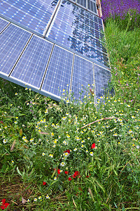 花草旁的太阳能电池板图片