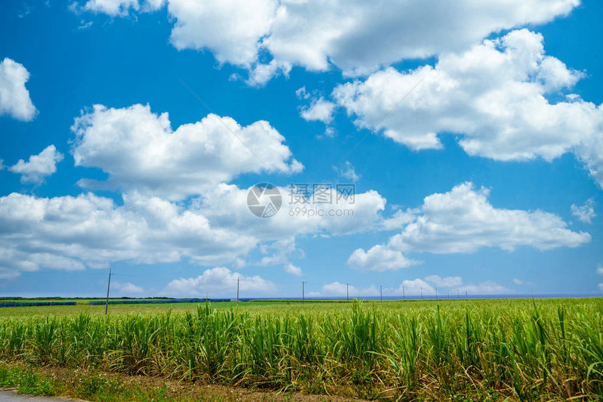 波照间岛的风景图片