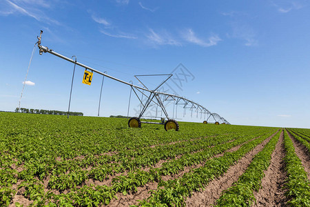 作物灌溉中心枢轴喷水系统图片