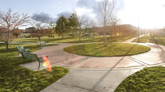 Panorama将瓦斯特公园的通道和树木布置在烈日下草原上图片