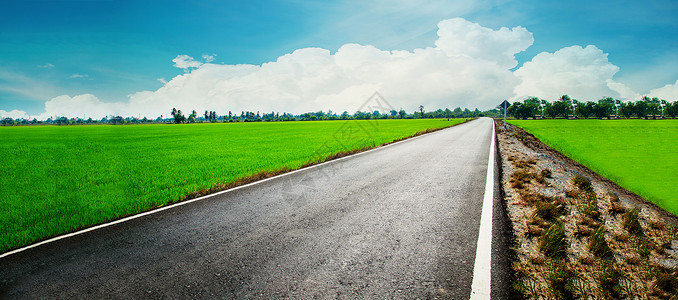 沥青路穿过绿色的田野和蓝天上的云彩在夏日背景图片