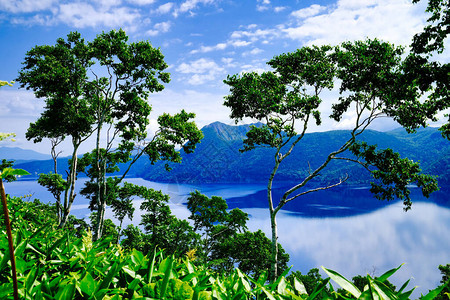 夏天的北海道摩苏湖图片